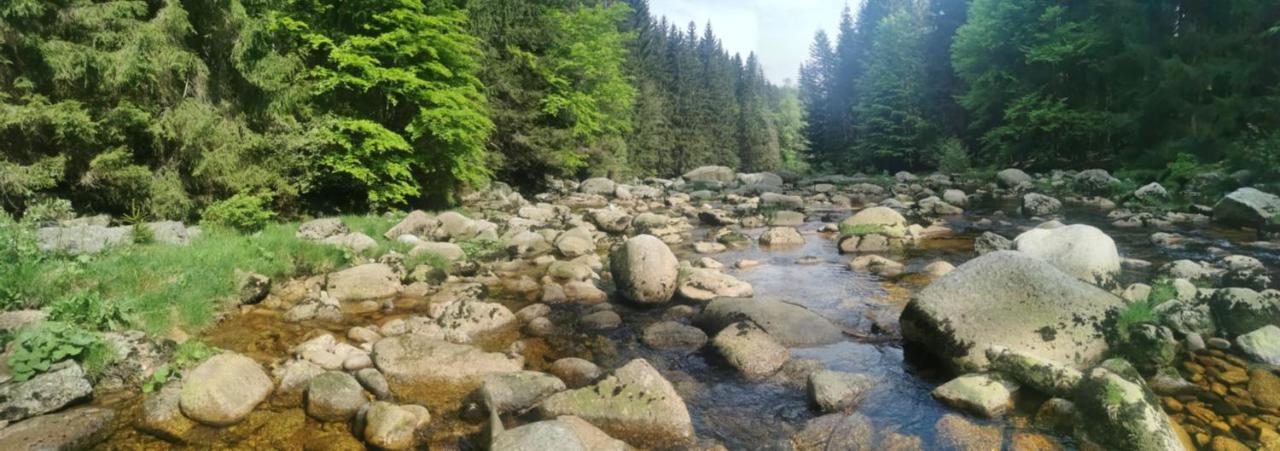 Apartmany Na Ceste Десна Экстерьер фото