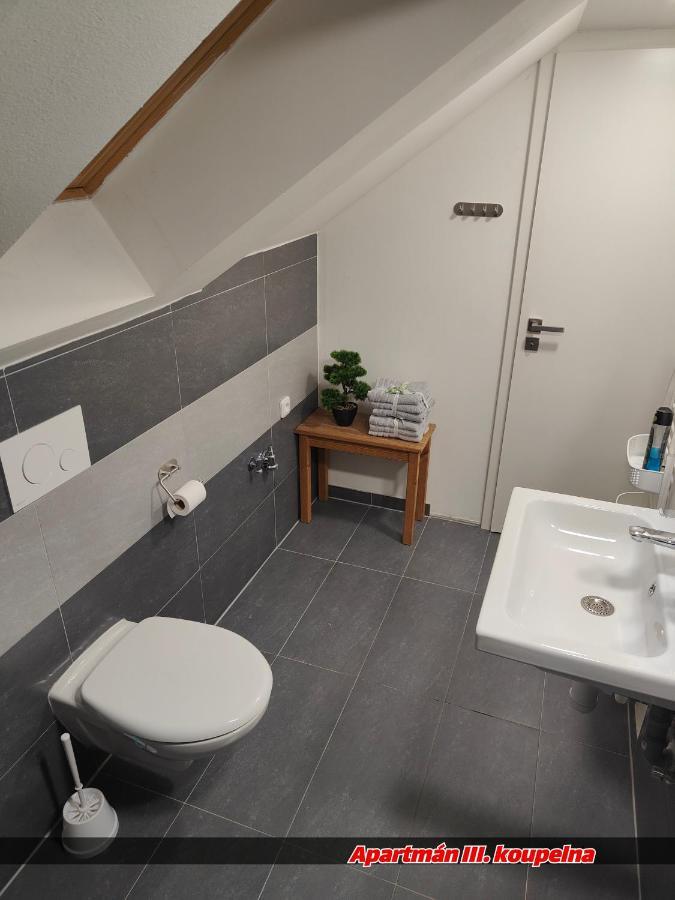 Apartmany Na Ceste Десна Экстерьер фото
