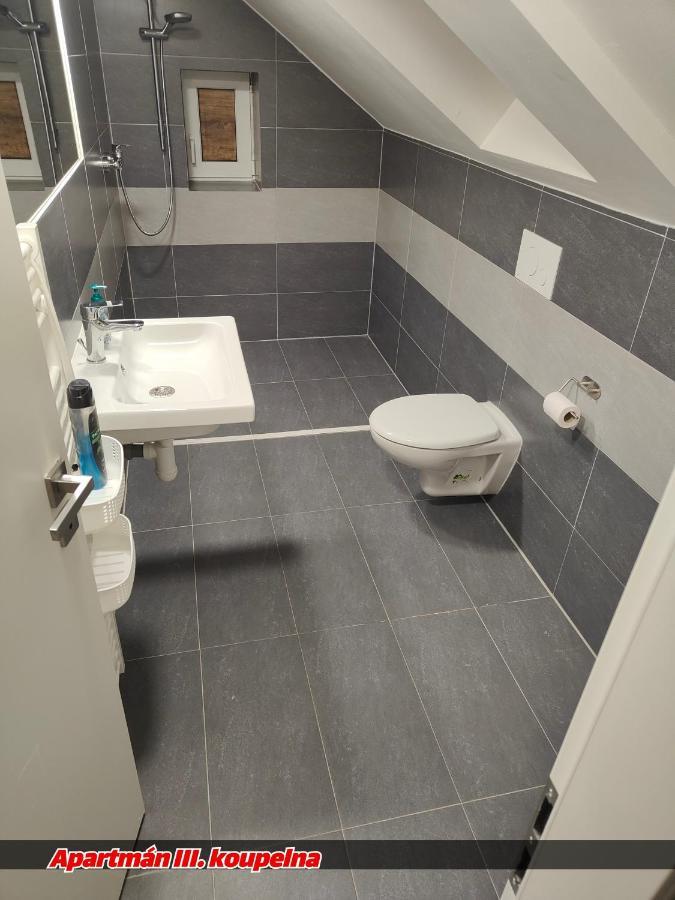 Apartmany Na Ceste Десна Экстерьер фото
